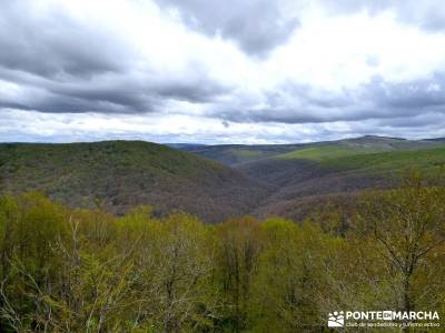 Burgos,Cantabria,Palencia Senderismo; pueblos de madrid con encanto calzado trekking sierra norte de